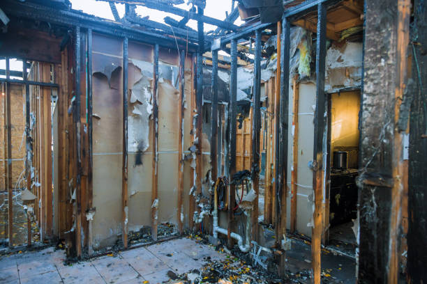 Professional Smoke Damage Removal technician working in Olney, TX
